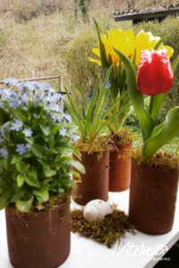 8 idées d'upcycling pour mettre en avant des succulentes