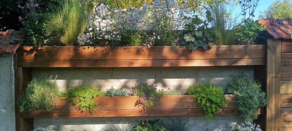 Fabriquer un mur végétal en intérieur
