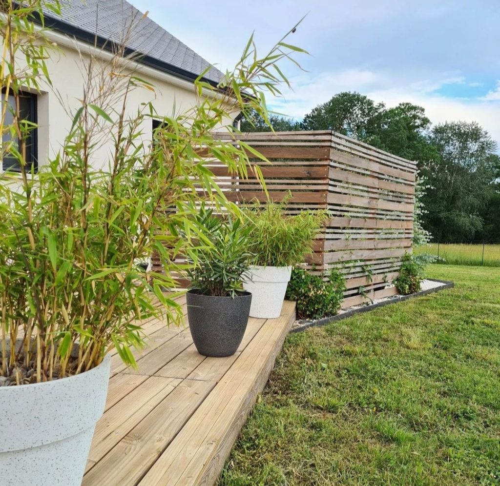 3 plantes pour créer un brise-vue naturel sur le balcon –