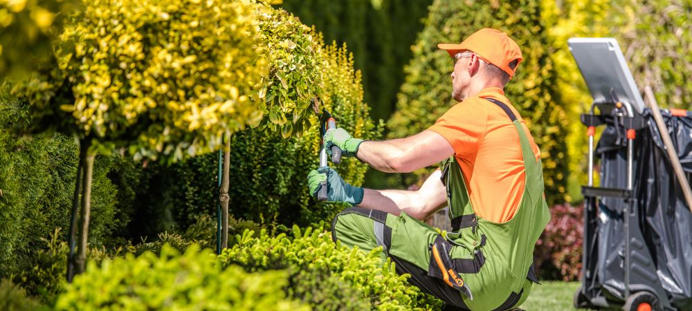 Travaux jardinage : comment bénéficier d'une déduction d'impôt