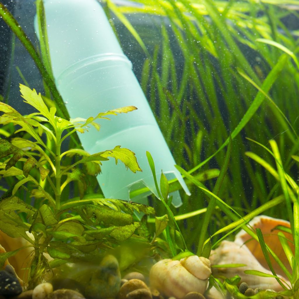 Kit de Nettoyage Aquarium avec Nettoyeurs d'algues, éponge