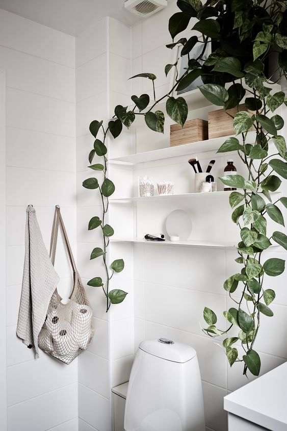 WC avec plantes